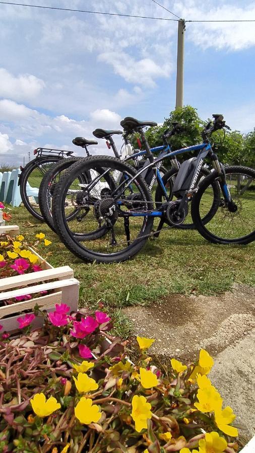 Relais Il Giardino Fra Gli Ulivi Vila Torino di Sangro Exterior foto