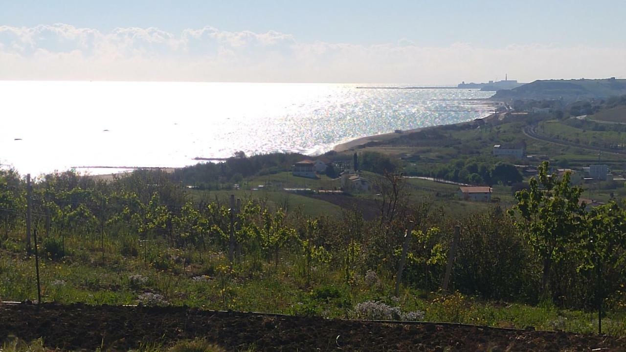 Relais Il Giardino Fra Gli Ulivi Vila Torino di Sangro Exterior foto