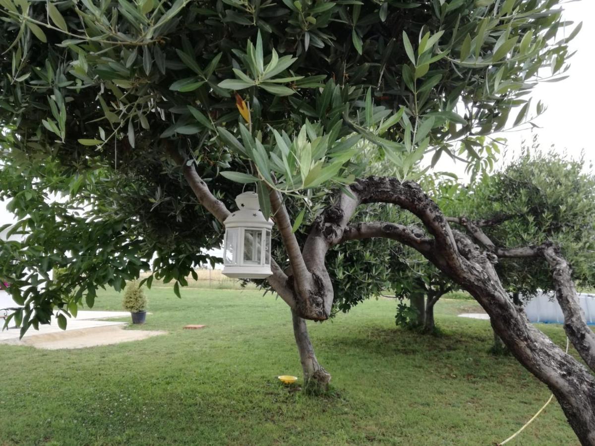 Relais Il Giardino Fra Gli Ulivi Vila Torino di Sangro Exterior foto